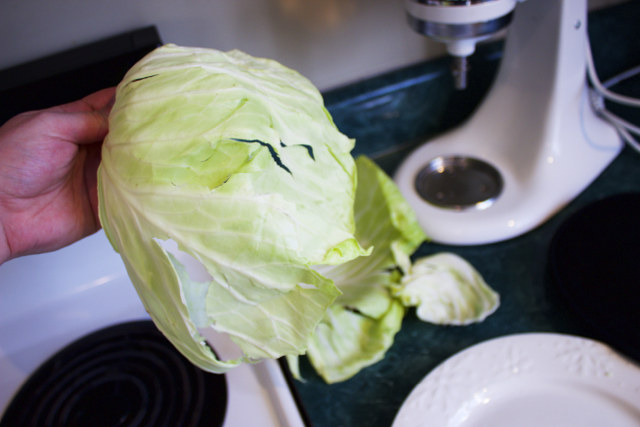 torn cabbage